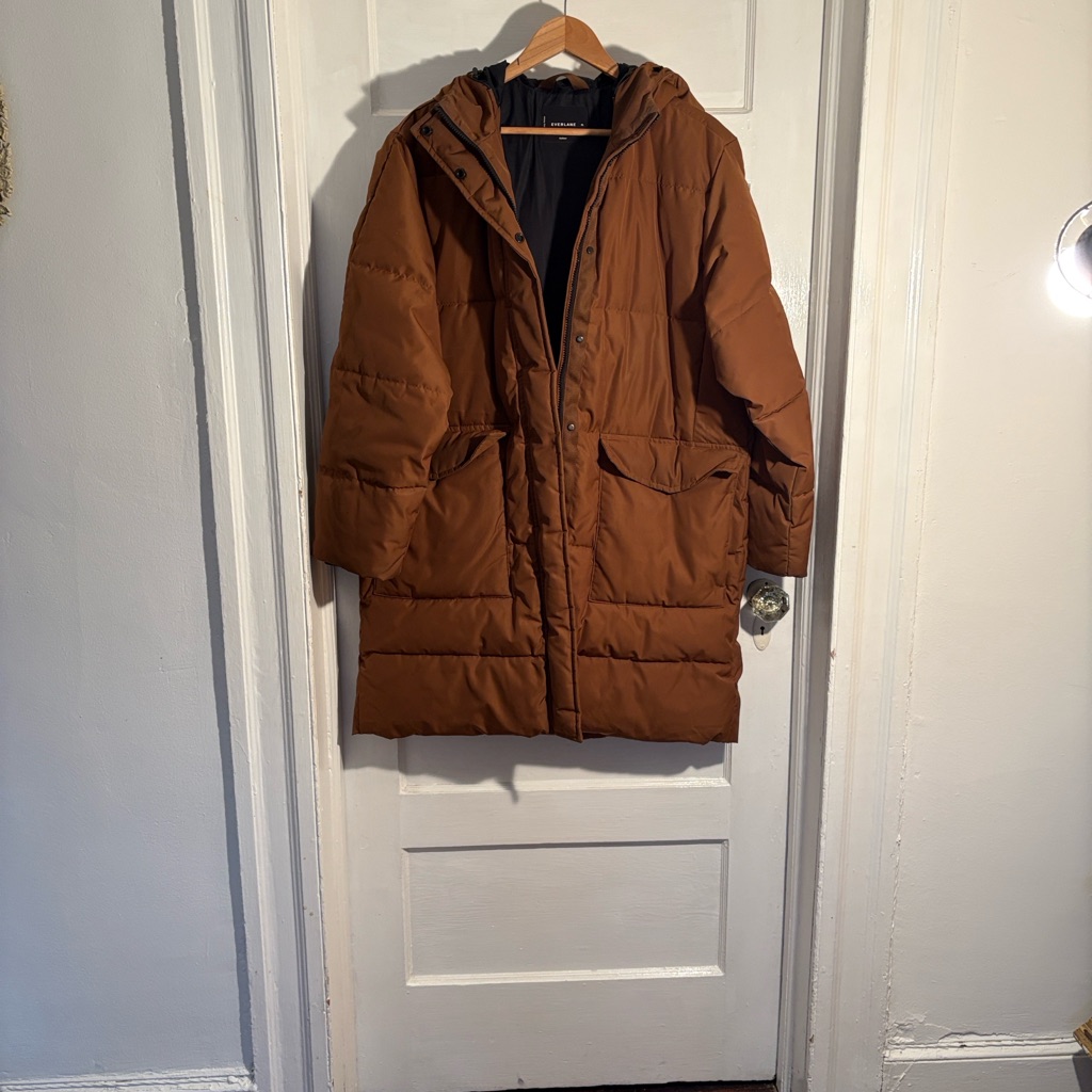 Everlane Renew Parka In Chestnut Xl